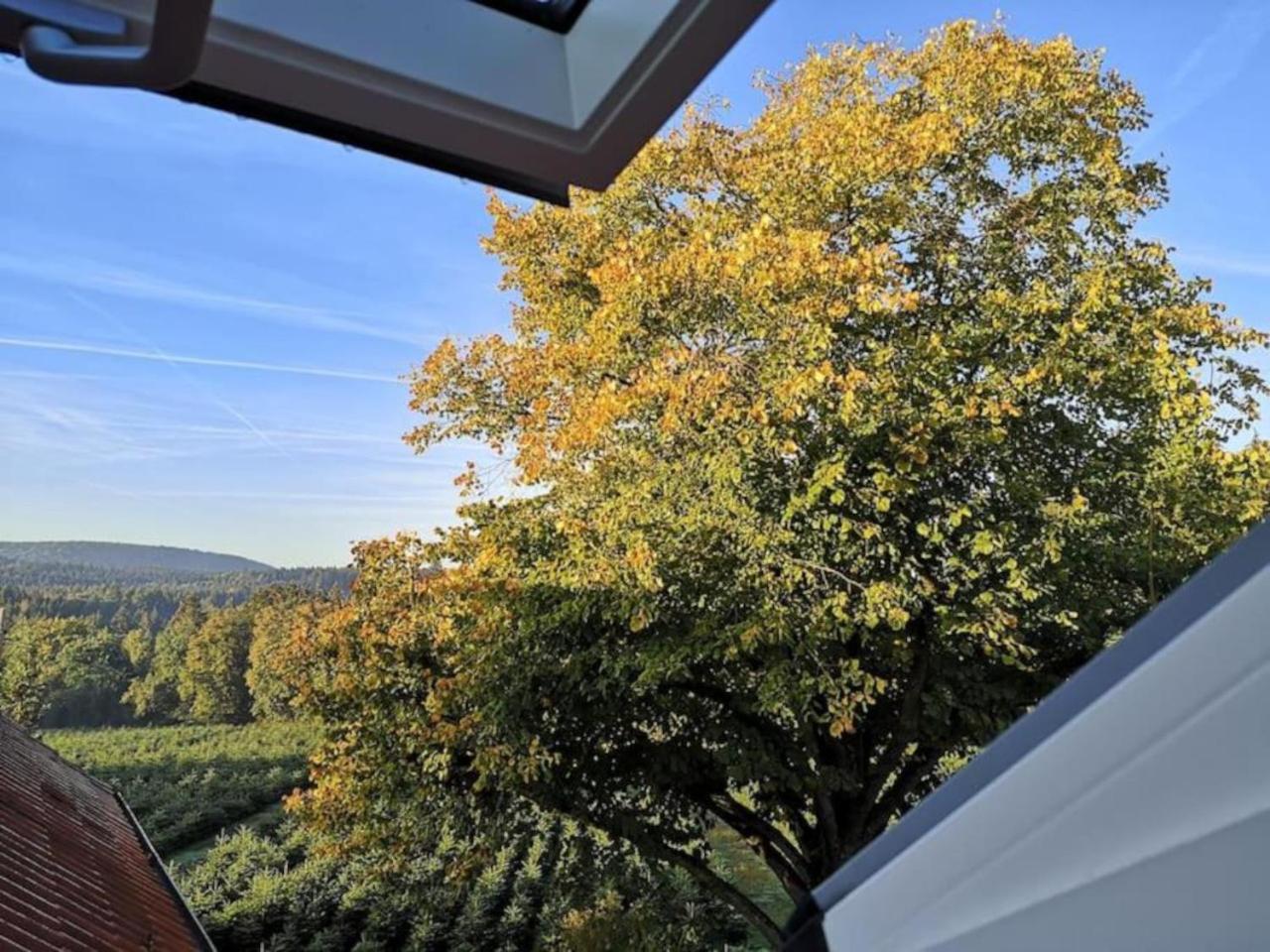 Gruene Oase Im Teutoburger Wald Apartment Georgsmarienhutte Luaran gambar
